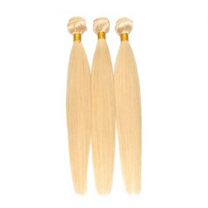 Goud Blond kleur 613